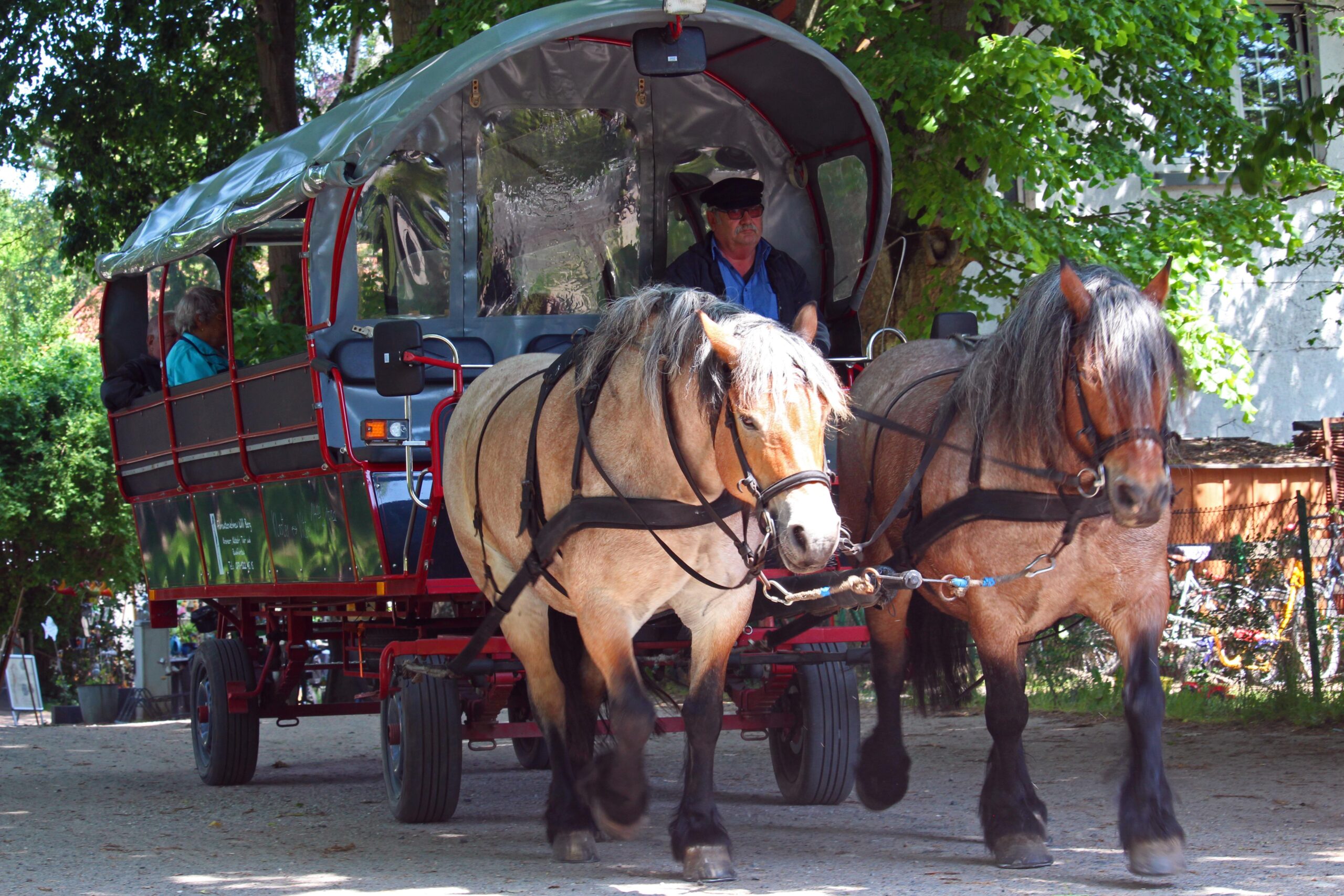 Reiten & Kutschfahrten